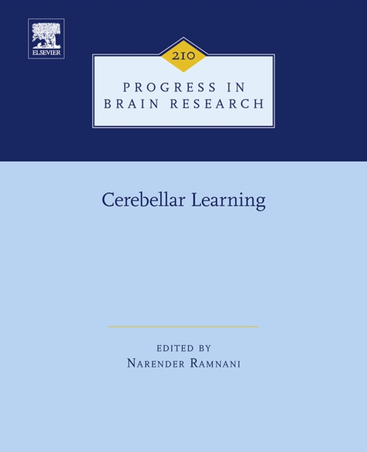 Cerebellar Learning