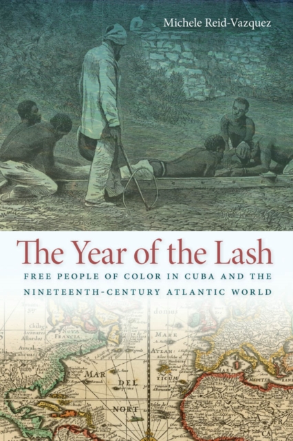 Year of the Lash