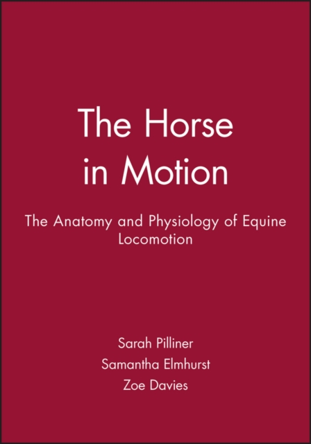 Horse in Motion