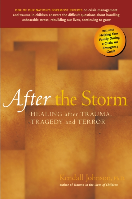 After the Storm