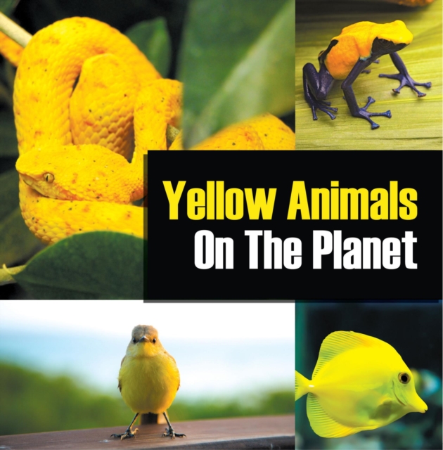 Yellow Animals On The Planet