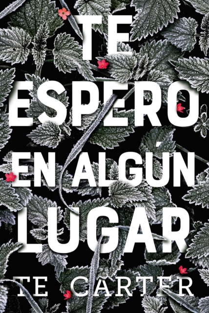 Te espero en algún lugar