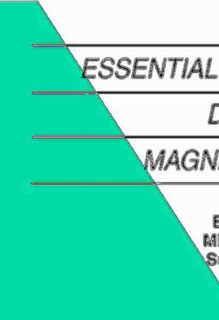 Essential Spaceflight Dynamics and Magnetospherics
