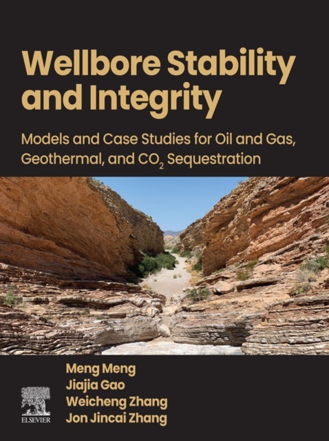 Wellbore Stability and Integrity