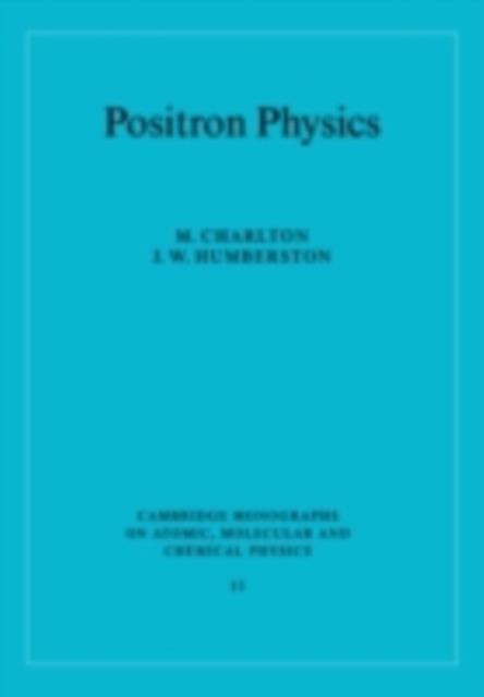 Positron Physics