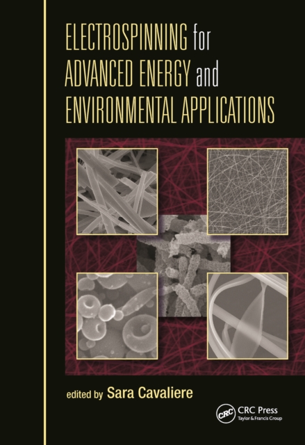 Electrospinning for Advanced Energy and Environmental Applications
