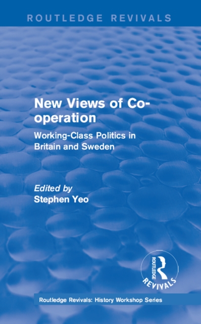 Routledge Revivals: New Views of Co-operation (1988)
