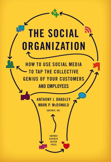 Social Organization