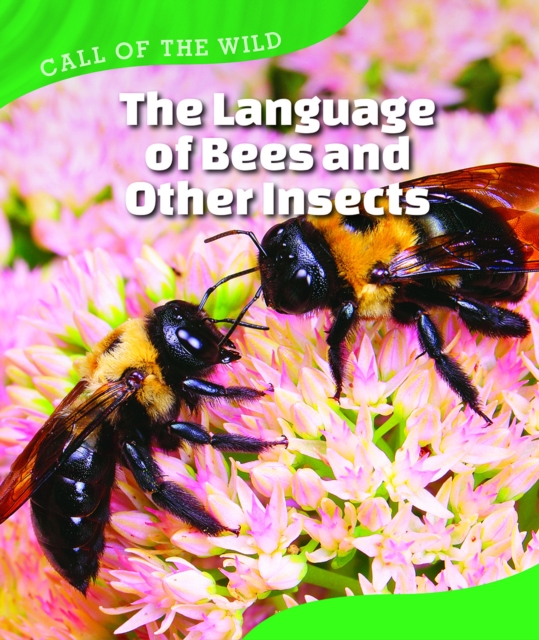 Language of Bees and Other Insects