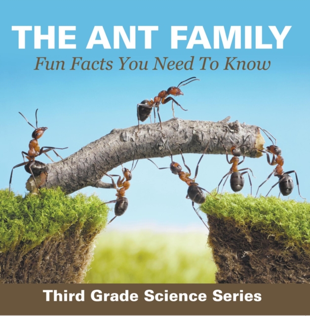 Ant Family - Fun Facts You Need To Know : Third Grade Science Series
