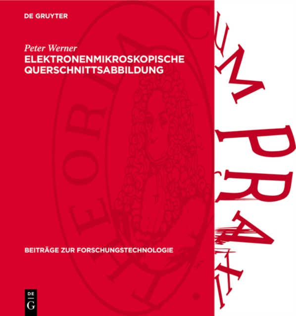 Elektronenmikroskopische Querschnittsabbildung