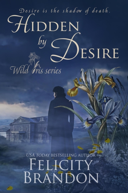 Hidden By Desire