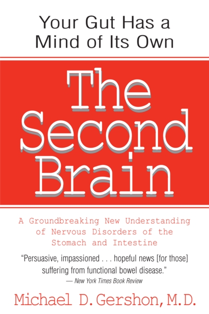 Second Brain