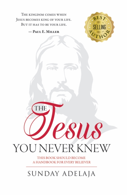 Jesus You Never Knew