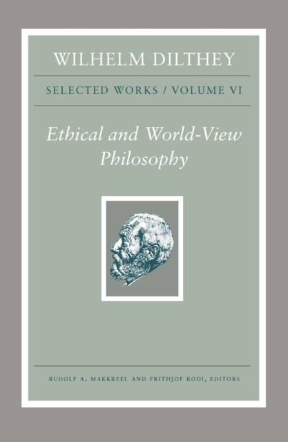 Wilhelm Dilthey: Selected Works, Volume VI