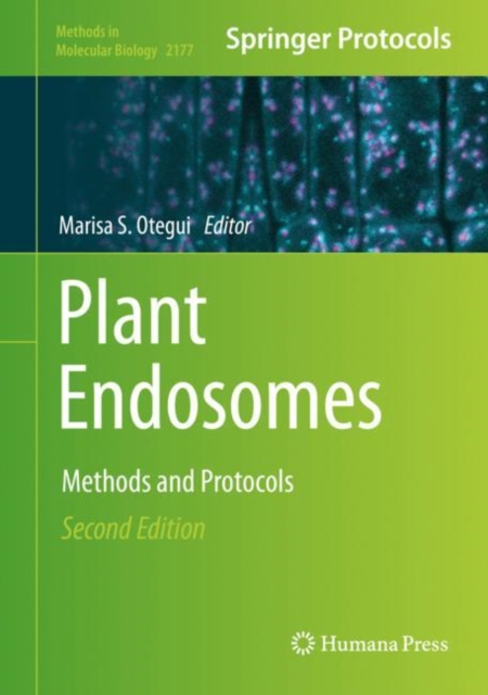 Plant Endosomes