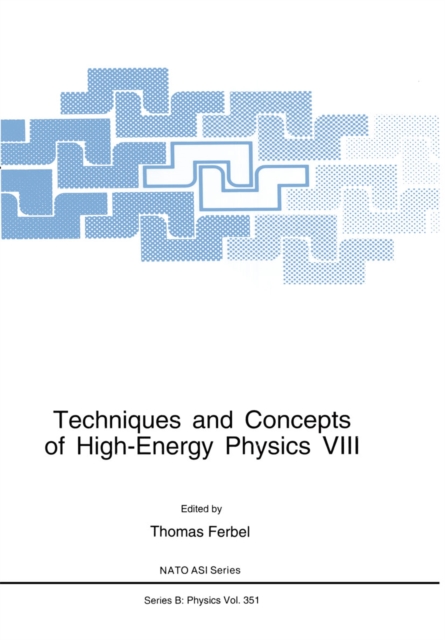 Techniques and Concepts of High-Energy Physics VIII