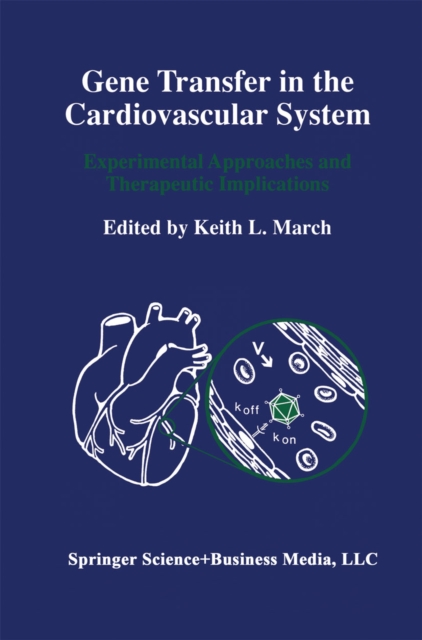 Coronary Stenosis Morphology: Analysis and Implication