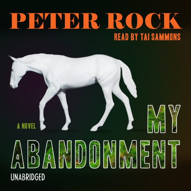 My Abandonment
