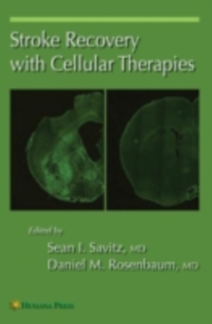Stroke Recovery with Cellular Therapies