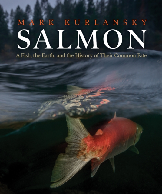 Salmon