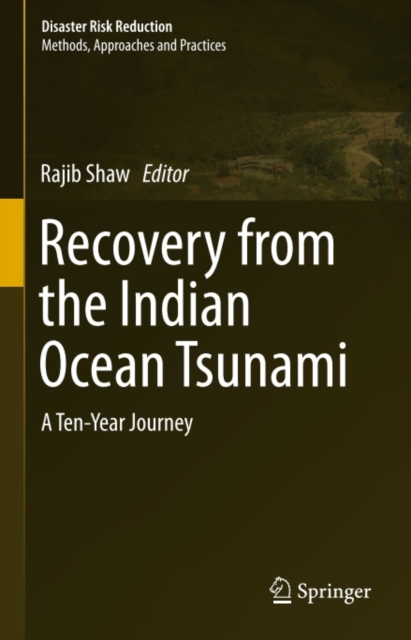 Recovery from the Indian Ocean Tsunami