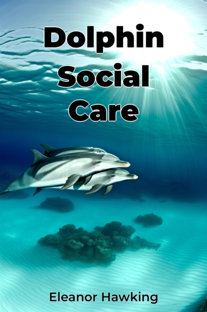 Dolphin Social Care