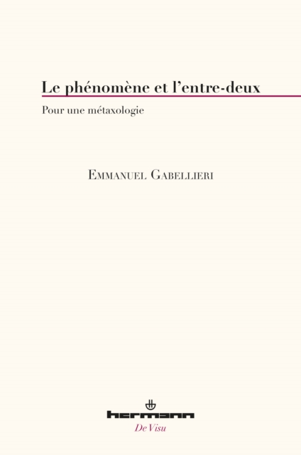 Le phénomène et l'entre-deux