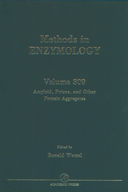 Amyloid, Prions, and Other Protein Aggregates