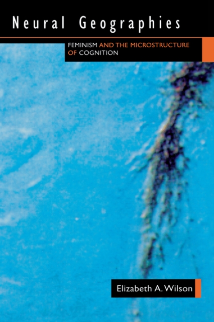 Neural Geographies