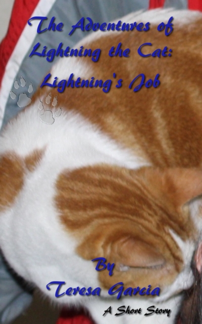 Adventures of Lightning the Cat: Lightning's Job