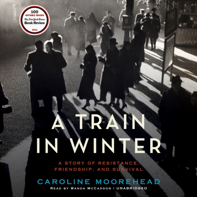 Train in Winter