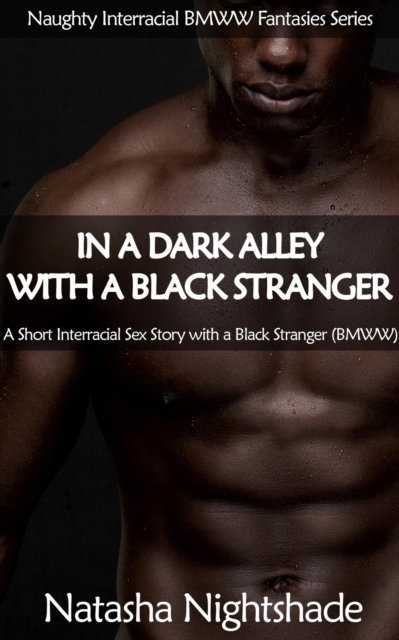 In a Dark Alley with a Black Stranger: A Short Interracial Sex Story with a Black Stranger