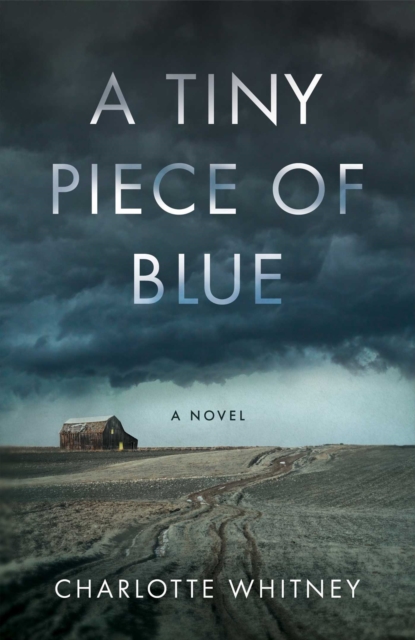 Tiny Piece of Blue