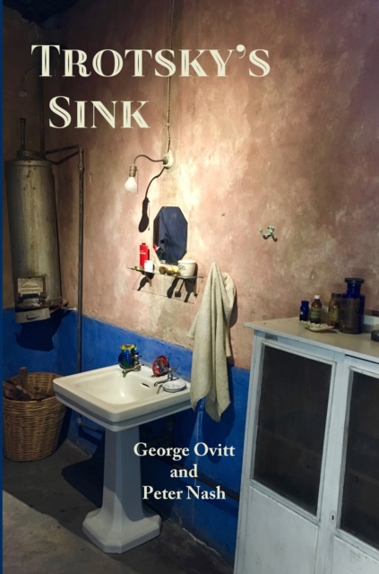 Trotsky's Sink: Ninety-Eight Short Essays about Literature