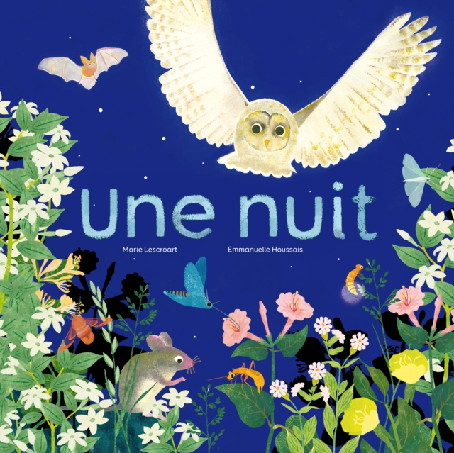 Une nuit