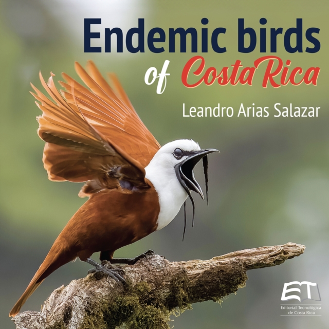 Endemic birds of Costa Rica