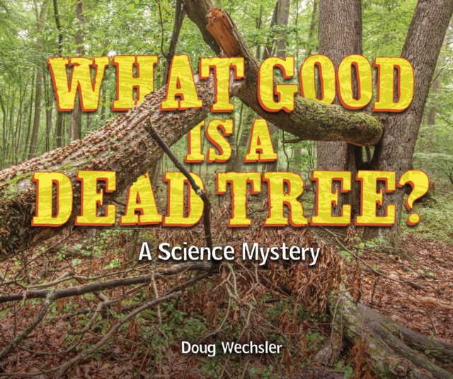 What Good Is a Dead Tree?
