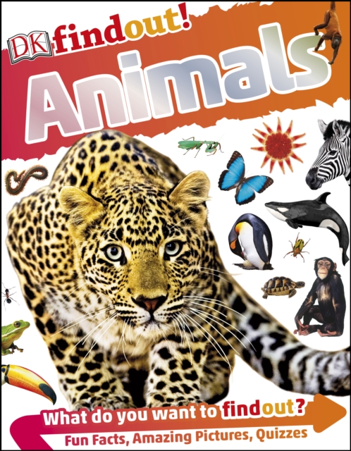 DKfindout! Animals