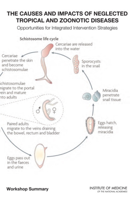 Causes and Impacts of Neglected Tropical and Zoonotic Diseases
