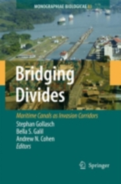 Bridging Divides