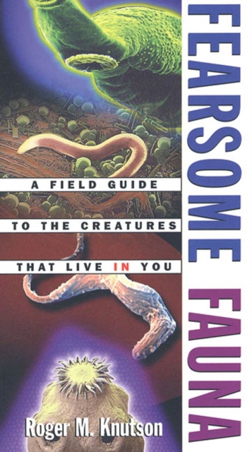 Fieldwork