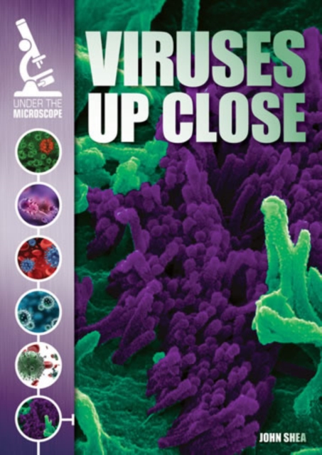 Viruses Up Close