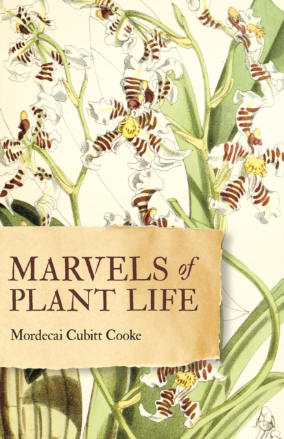 Marvels of Plant Life