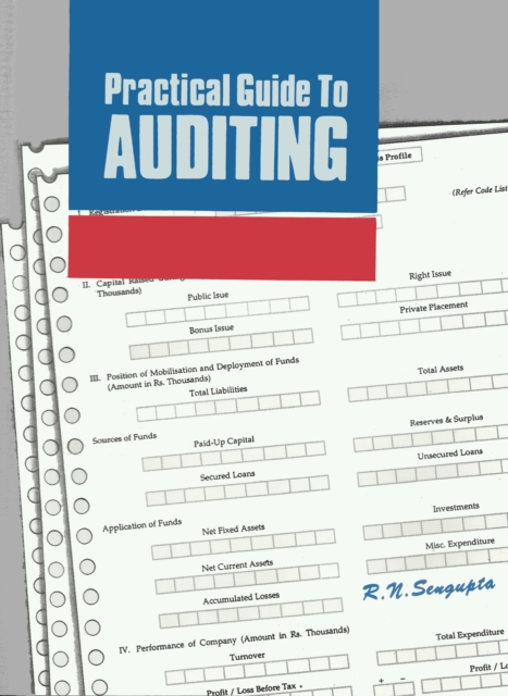 Practical Guide to Auditing