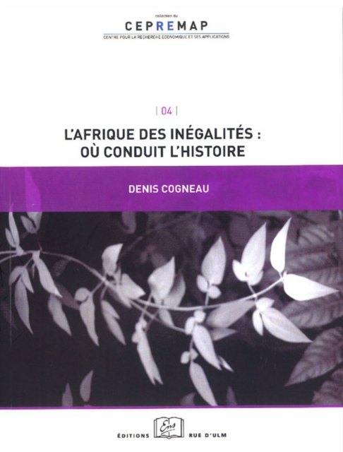 L'Afrique des inégalités : où conduit l'histoire