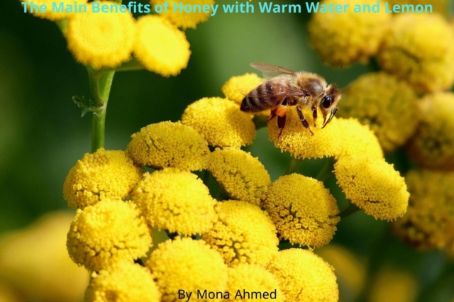 Main Benefits of Honey with Warm Water and Lemon