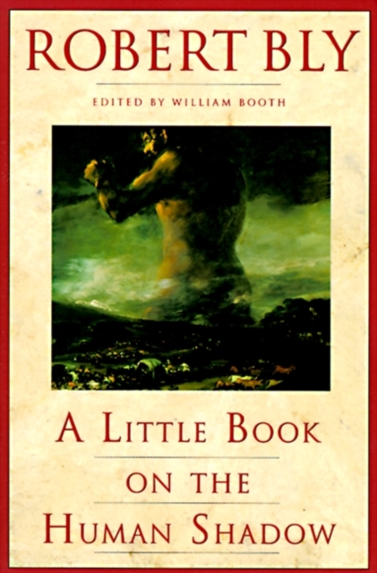 Little Book on the Human Shadow