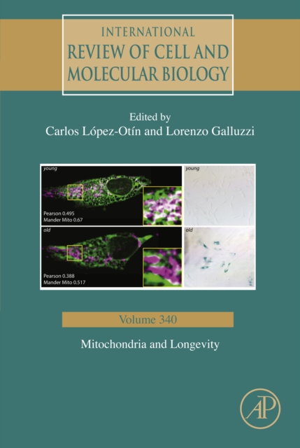Mitochondria and Longevity