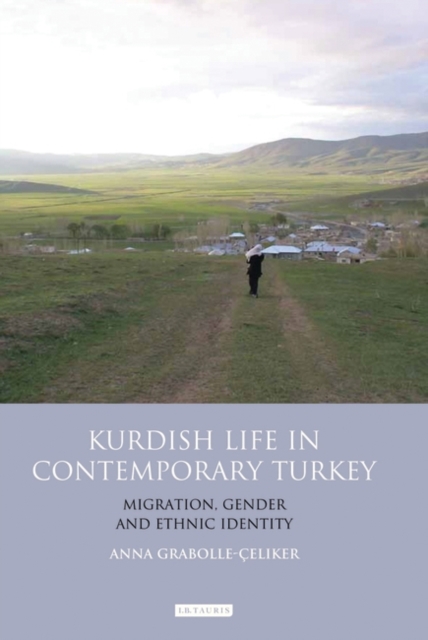 Kurdish Life in Contemporary Turkey